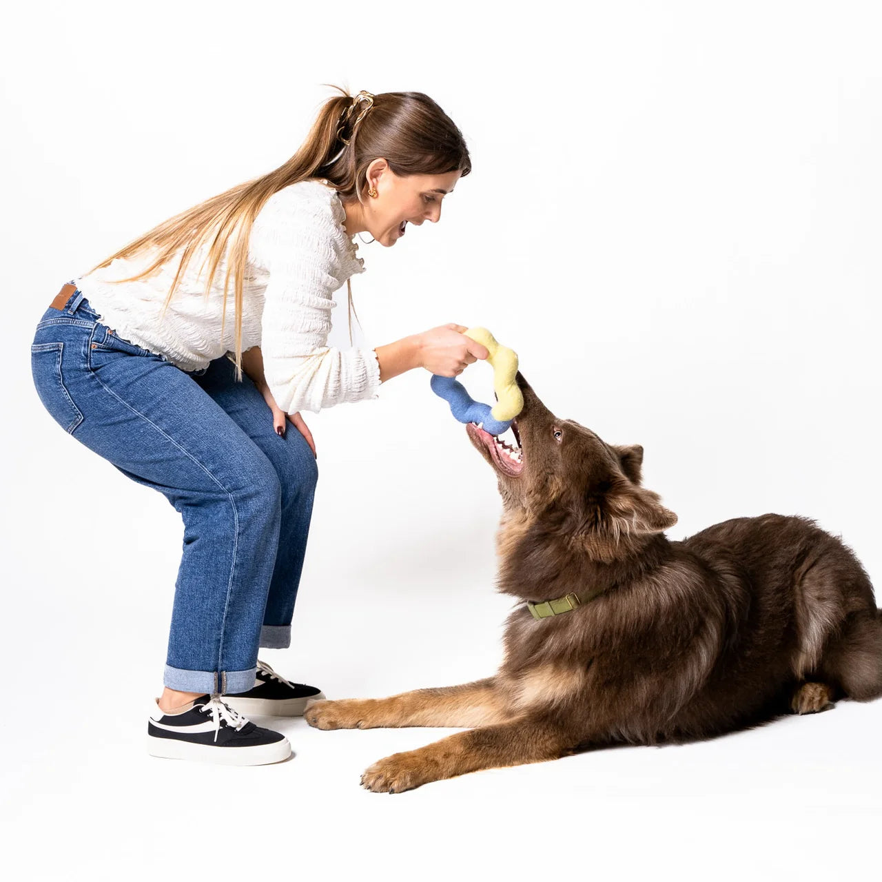 Filz Hundespielzeug Stern Blau/Gelb
