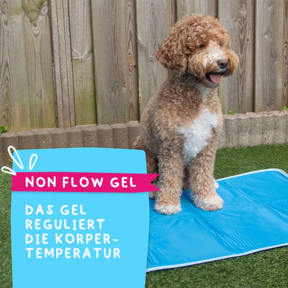 Hundekühlmatte Premium Gel