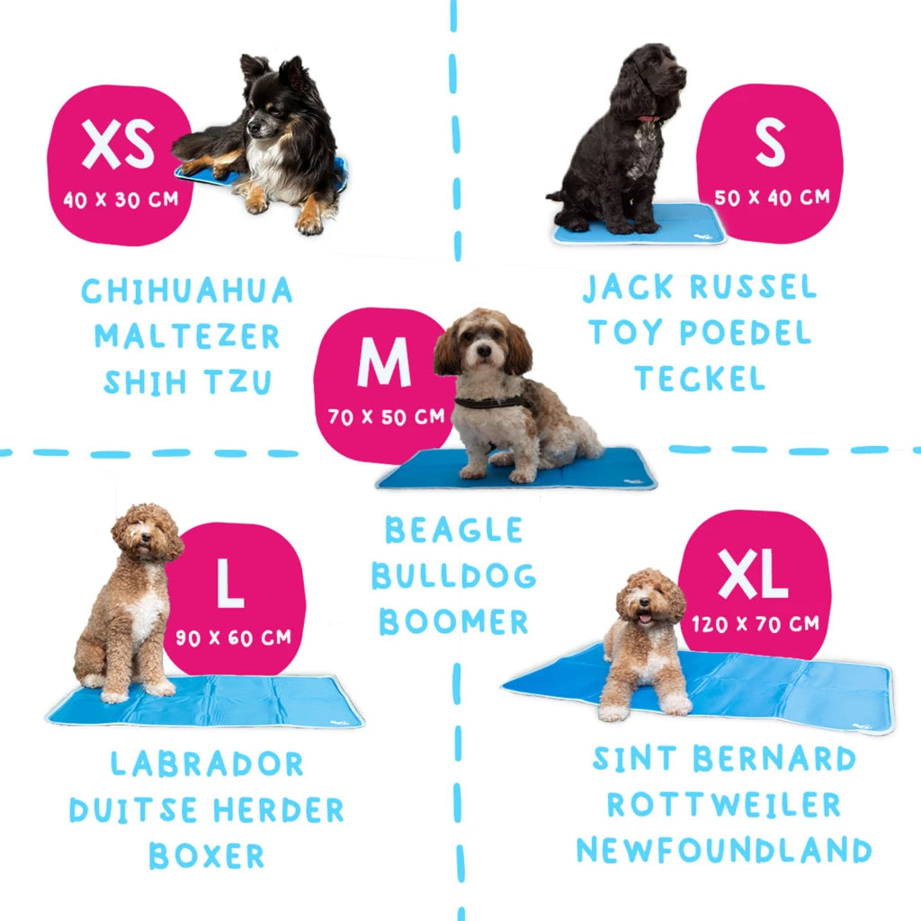 Hundekühlmatte Premium Gel