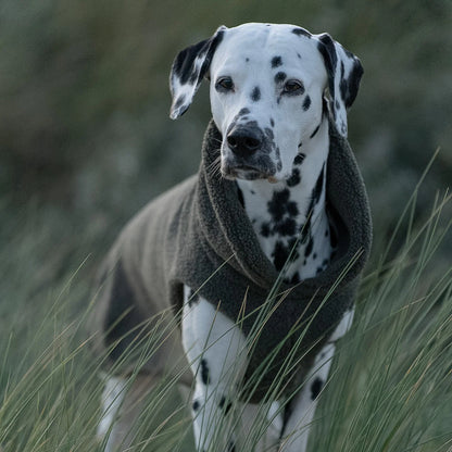 Hundepullover CosyShirt Stay Warm Teddy Moosgrün