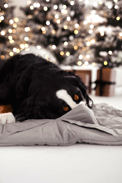 Schnüffelteppich Square