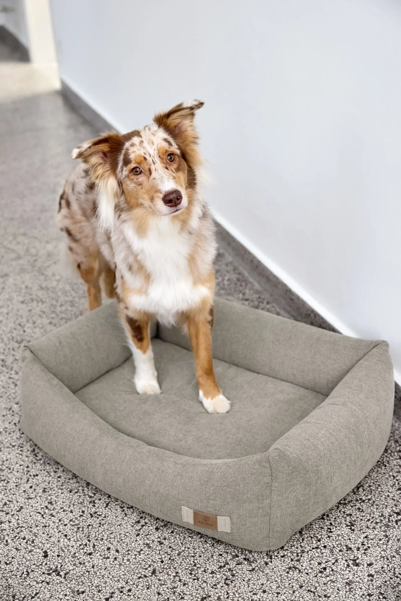 Hundebett Fred Grau