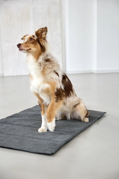 Hundematte Alma Dunkelgrau