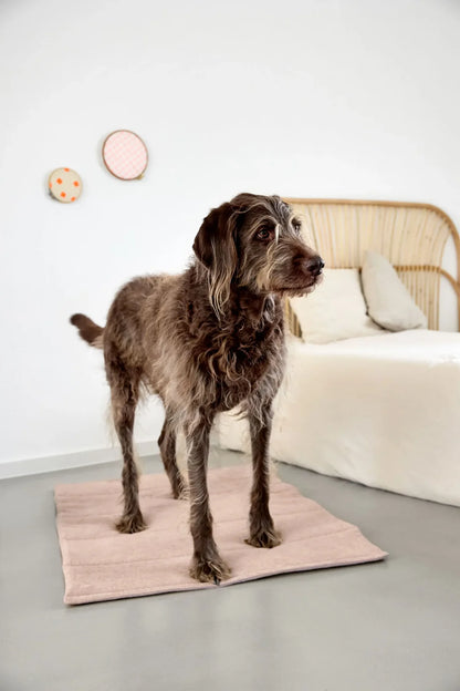 Hundematte Alma Rosa