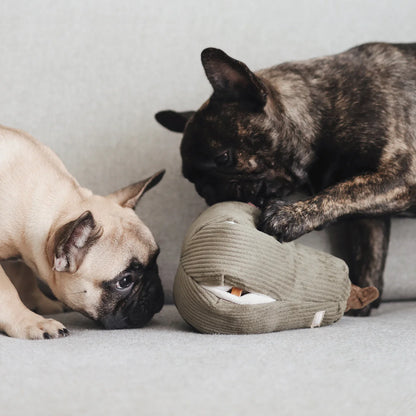 Hundespielzeug Schnüffelkürbis Butternut