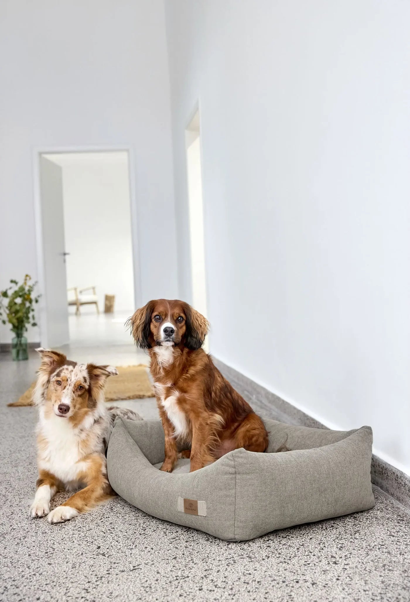 Hundebett Fred Grau