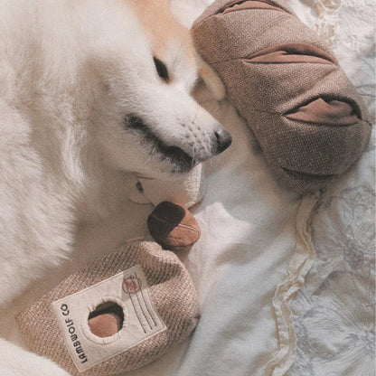 Hundespielzeug Coffee Beans