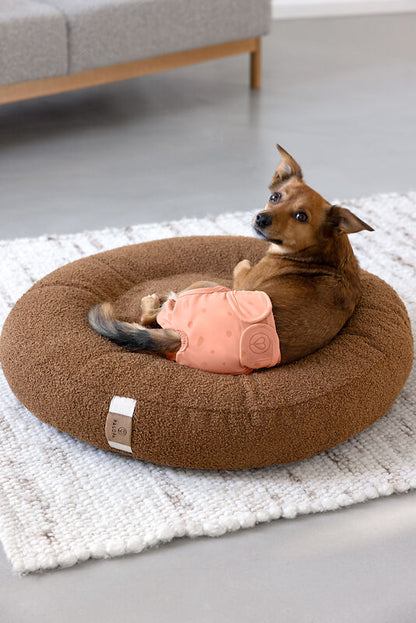 Läufigkeitshose & Hundewindel Glan Peach 2er-Set