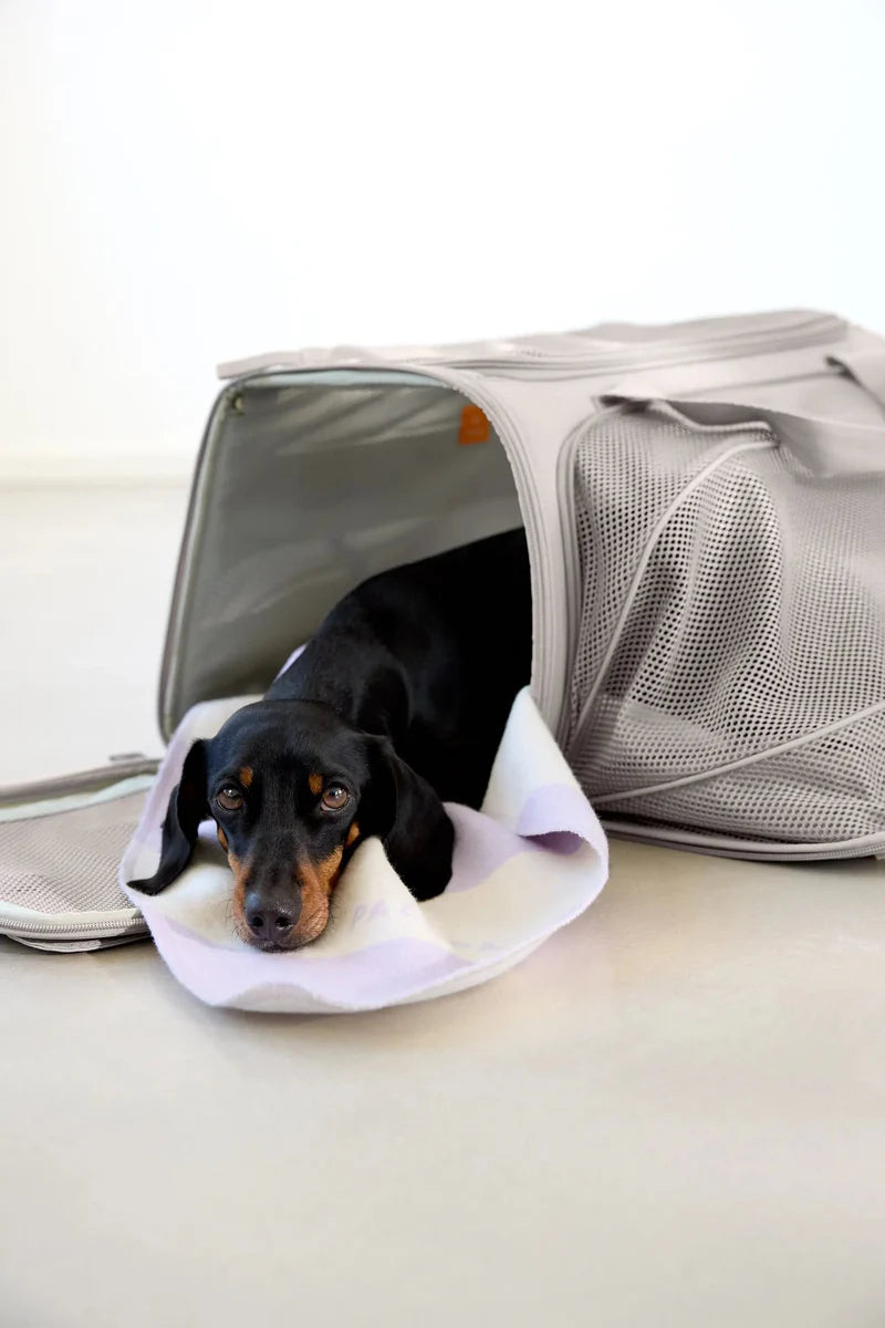 Hundetragetasche Benno Taupe