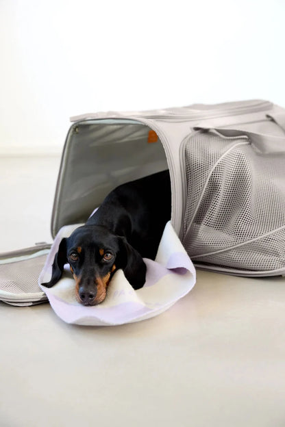Hundetragetasche Benno Taupe