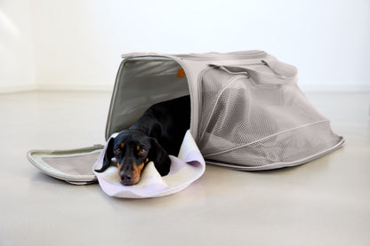 Hundetragetasche Benno Taupe