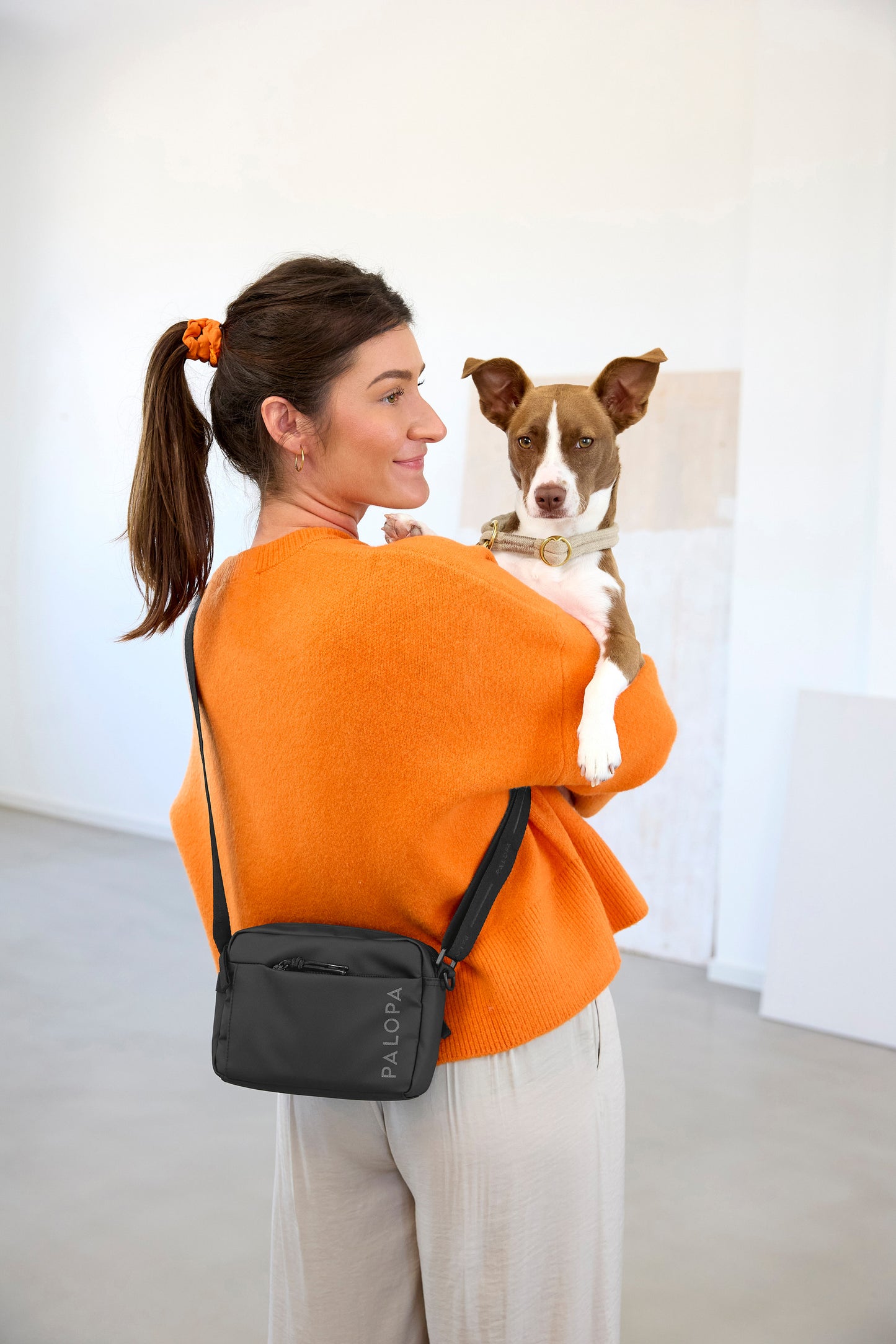 Leckerlitasche Noka Schwarz