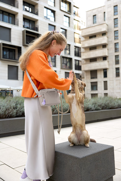 Leckerlitasche Noka Taupe