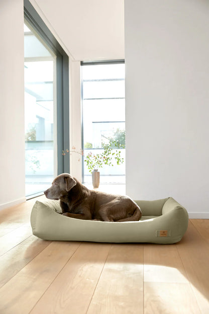 Hundebett Fred Salbei