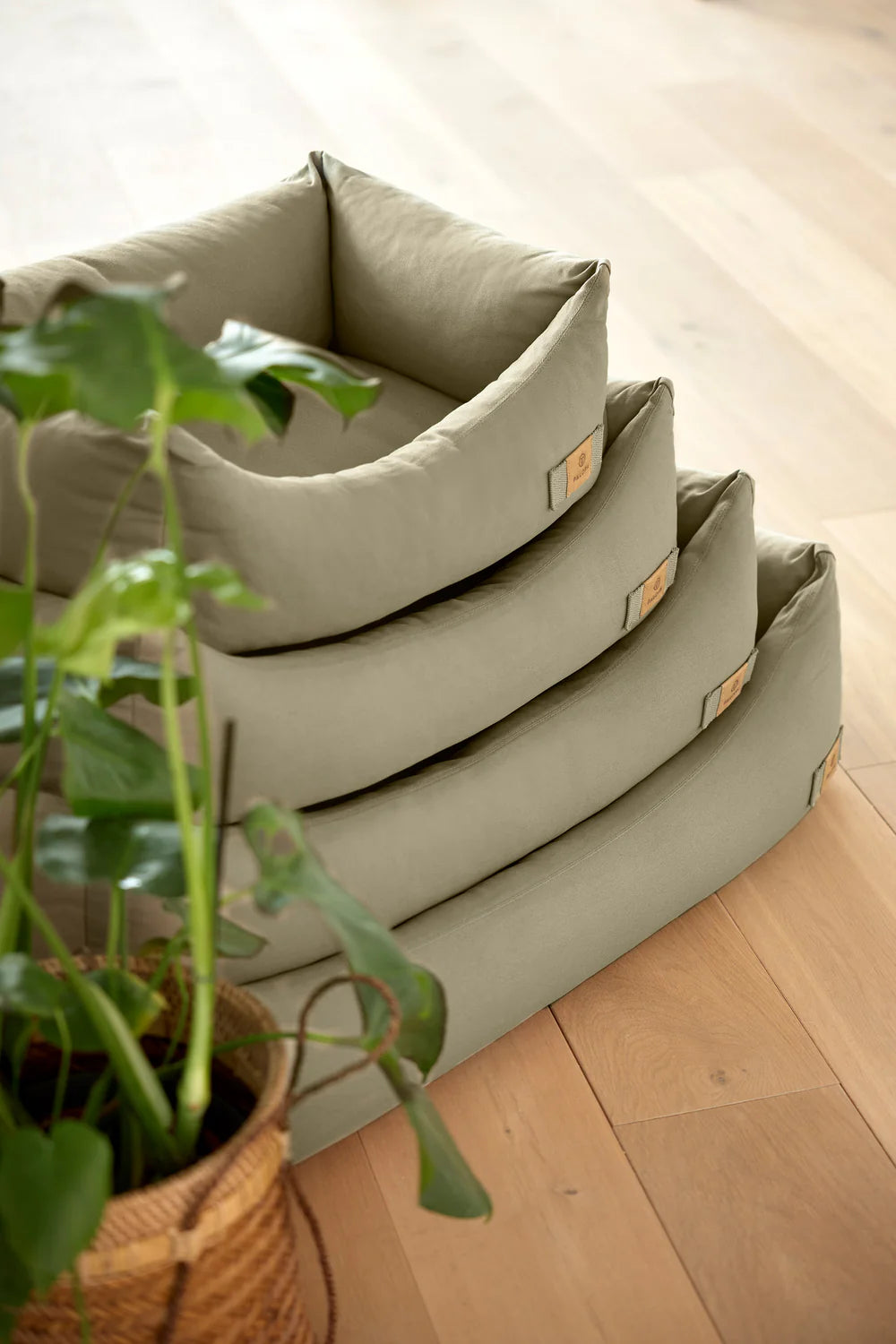 Hundebett Fred Salbei