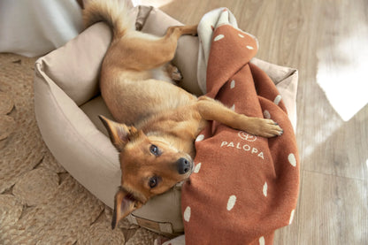 Hundebett Fred Humus