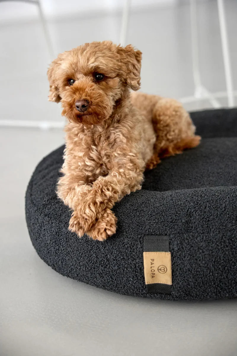 Hundebett Donut Fippa Schwarz