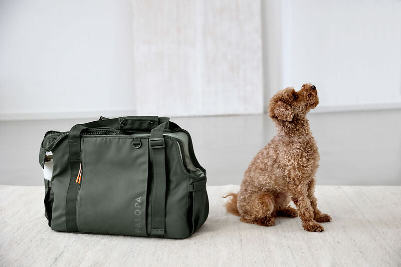2-in-1 Hundetragetasche Weda Dunkelgrün