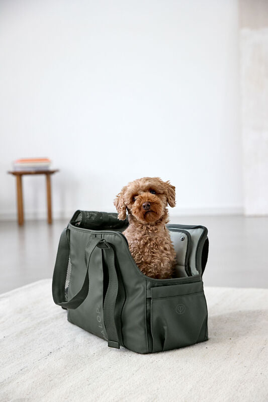 2-in-1 Hundetragetasche Weda Dunkelgrün