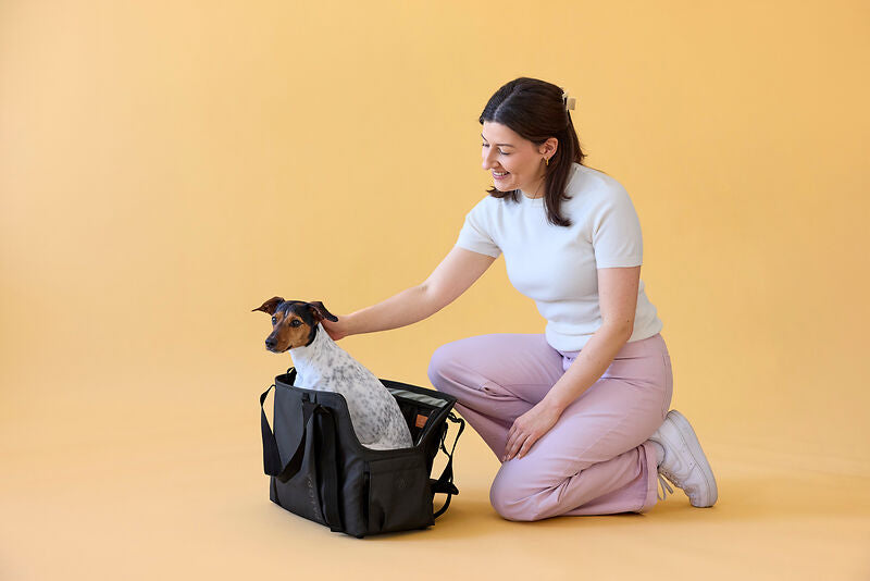2-in-1 Hundetragetasche Weda Schwarz