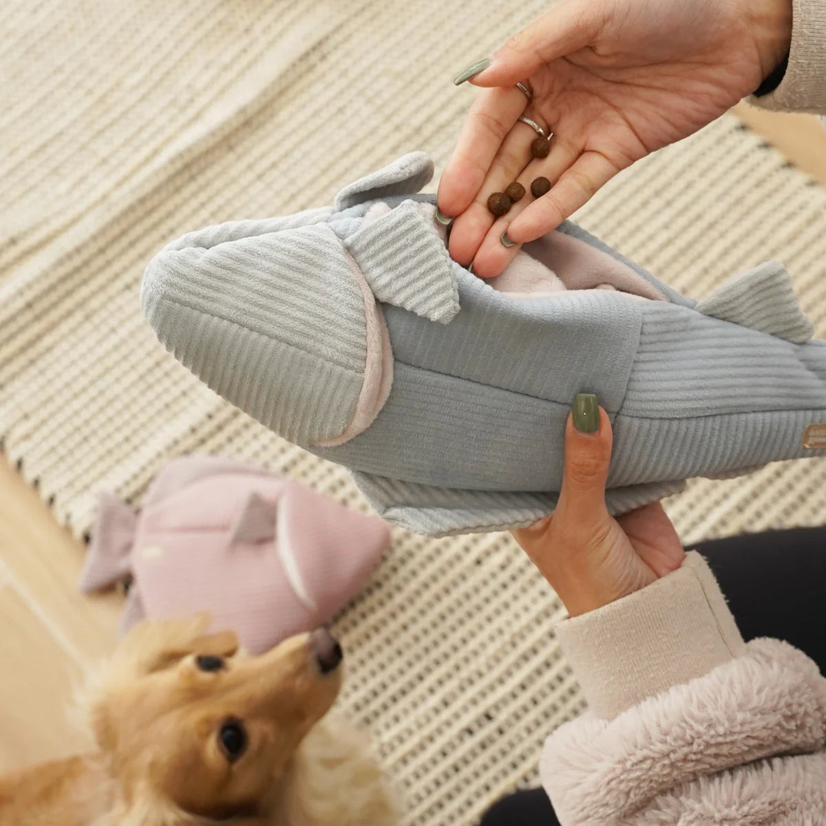 Hundespielzeug Forelle Trout