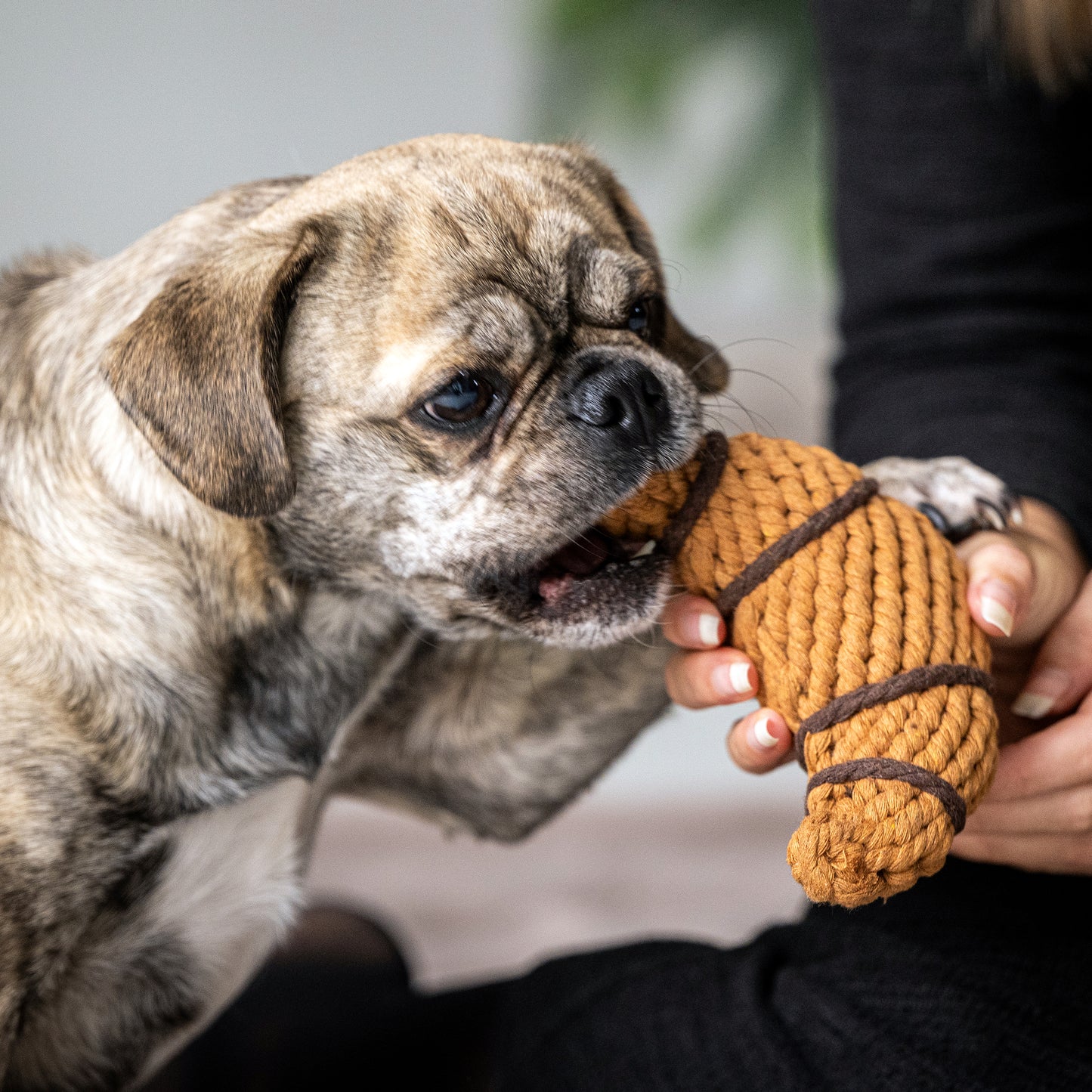 Hundespielzeug Chrissy Croissant