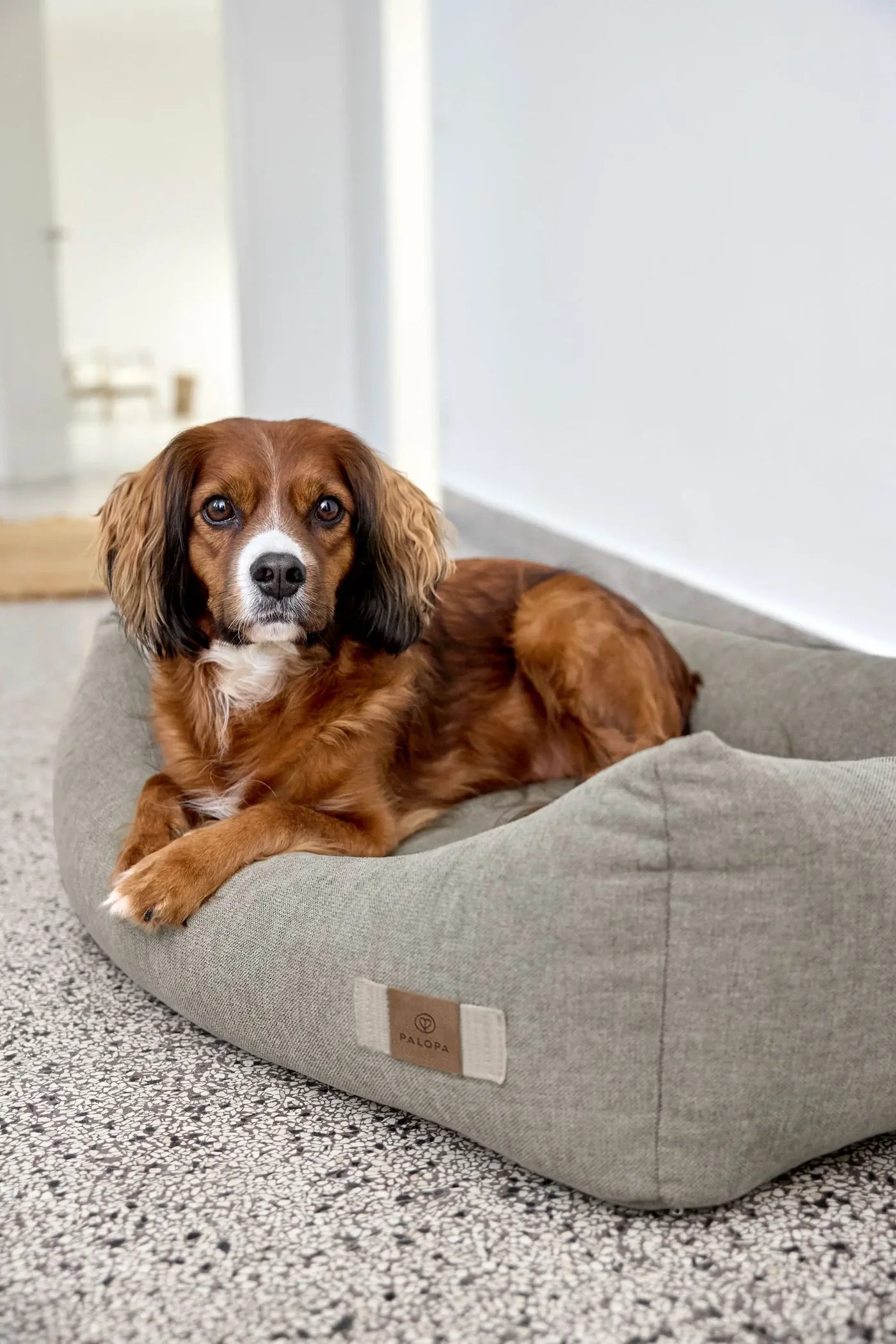 Hundebett Fred Grau