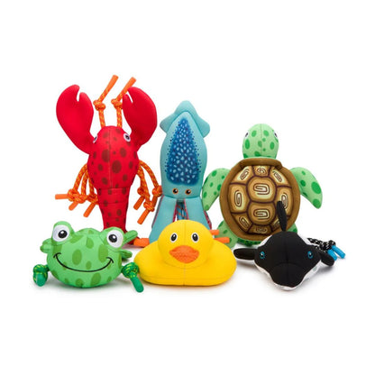 Wasserspielzeug Floatie Frog