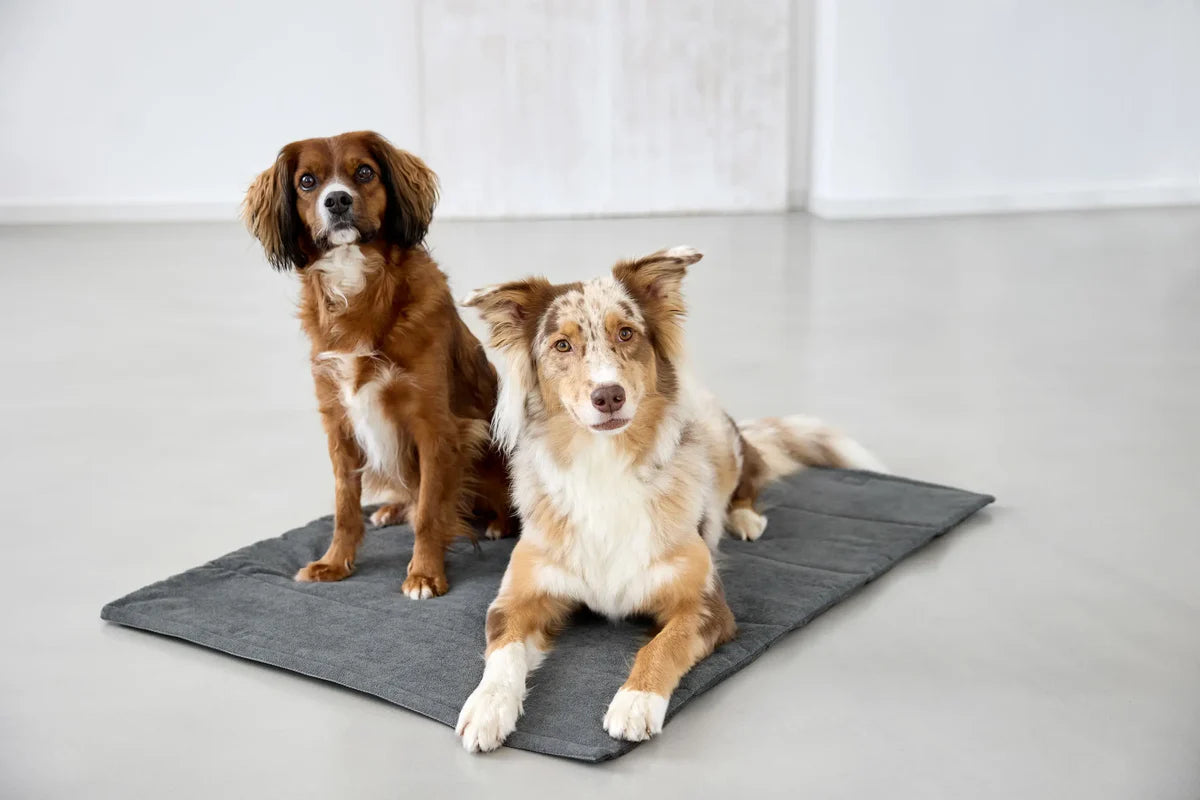 Hundematte Alma Dunkelgrau