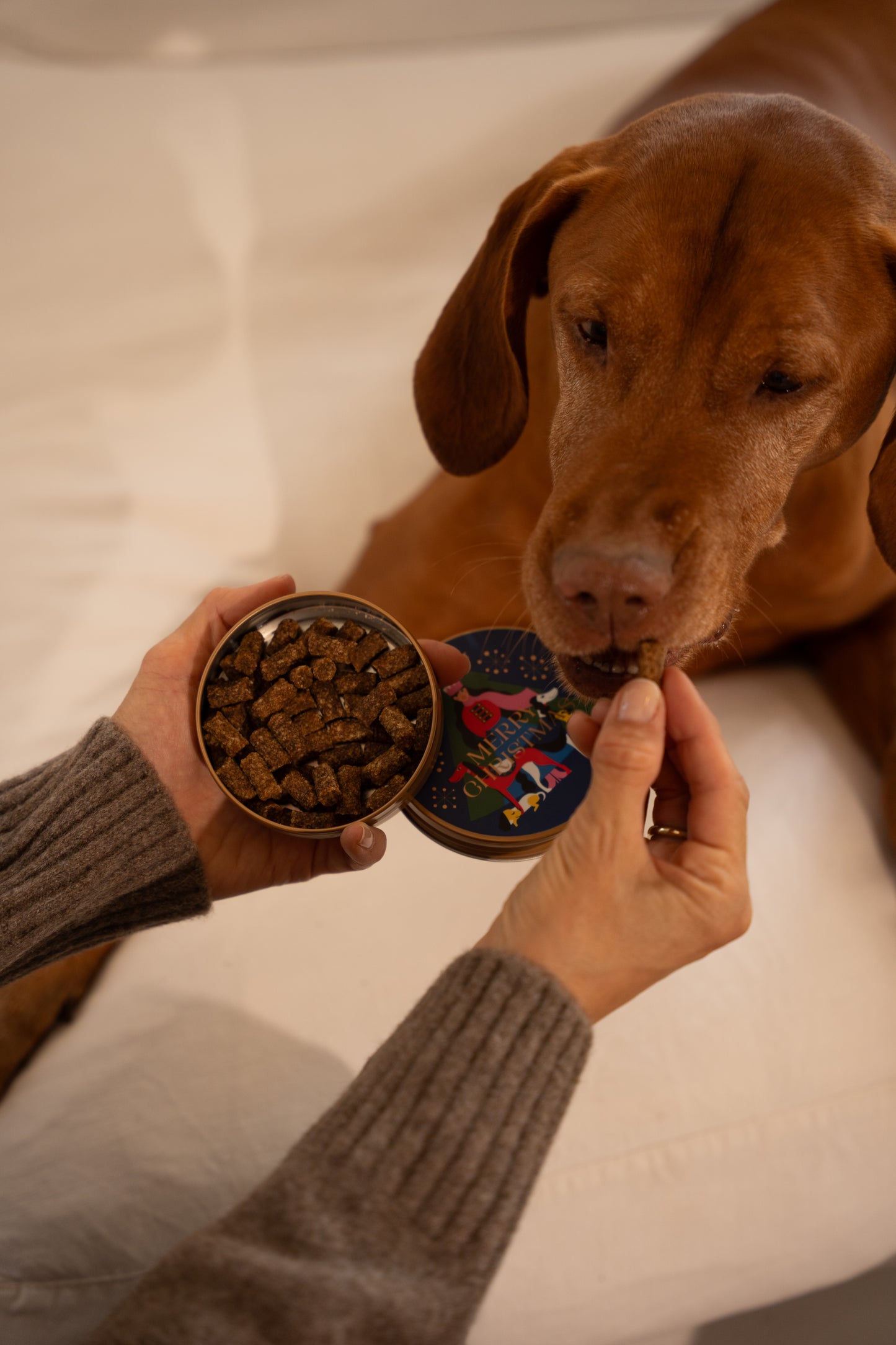 Weihnachts-Goodies 60g