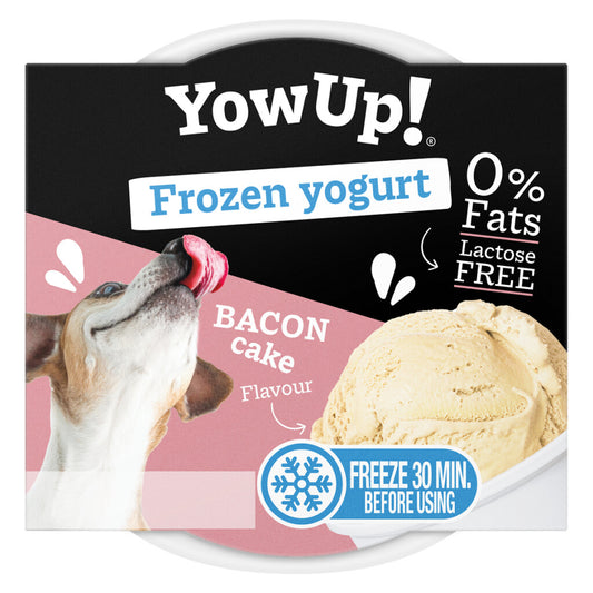 Frozen Yoghurt Bacon Cake