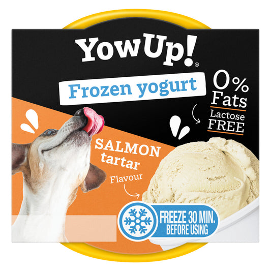 Frozen Yoghurt Salmon Tartar
