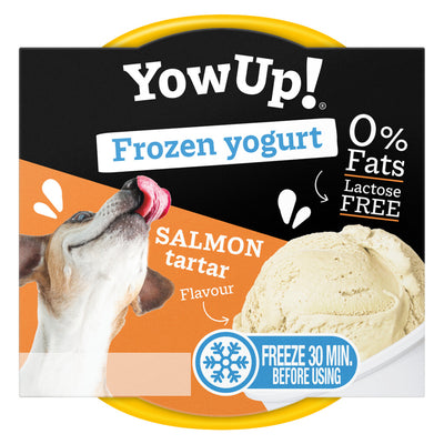Frozen Yoghurt Salmon Tartar