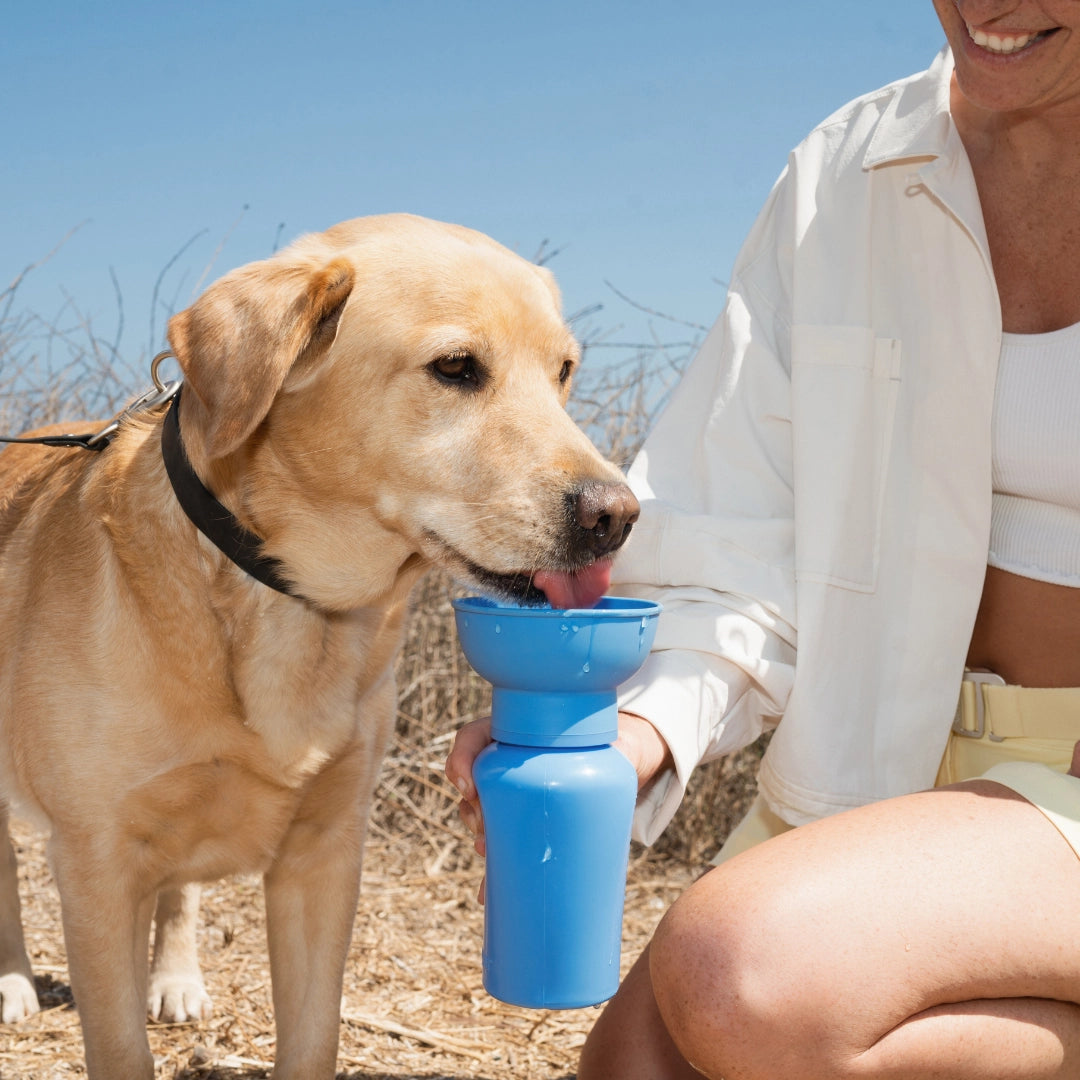 Reisetrinkflasche für Hunde Flip 590ml Nude