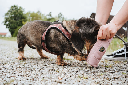 Trainer Snack Dummy mit Seil Altrosa