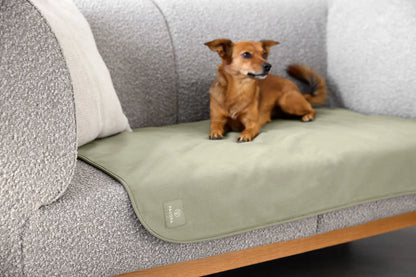 Hundeschutzmatte Benti Olive