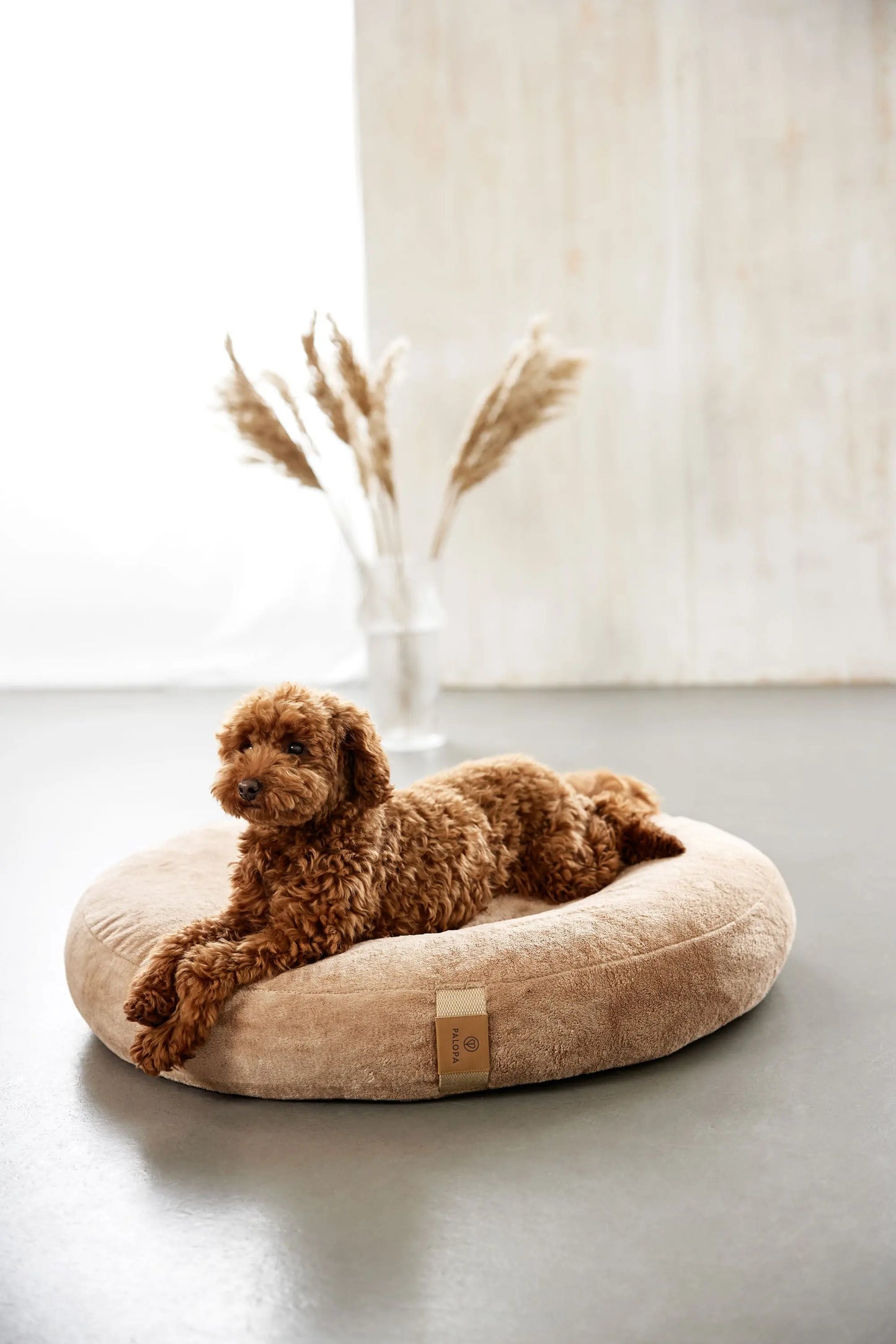Hundebett Donut Fippa Humus