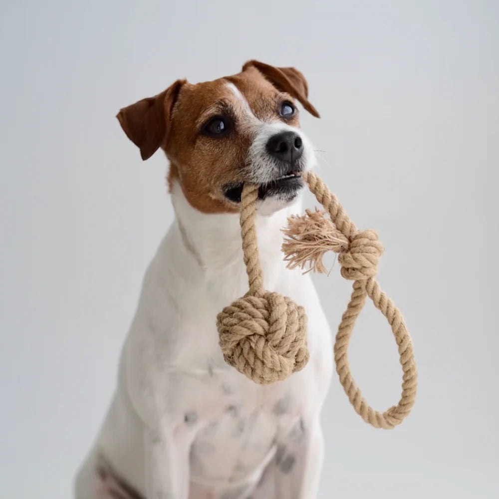 Hundespielzeug Hanfseil Schleuderball