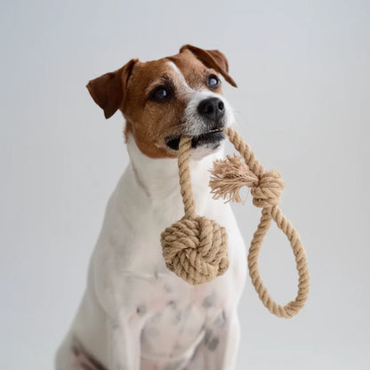 Hundespielzeug Hanfseil Schleuderball