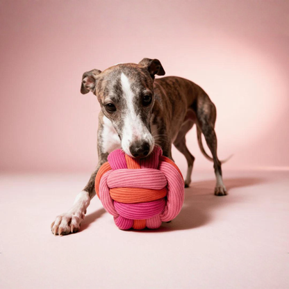 Schnüffelball Twisty Ball Berry