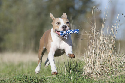 Hundespielzeug Bonnie Bone