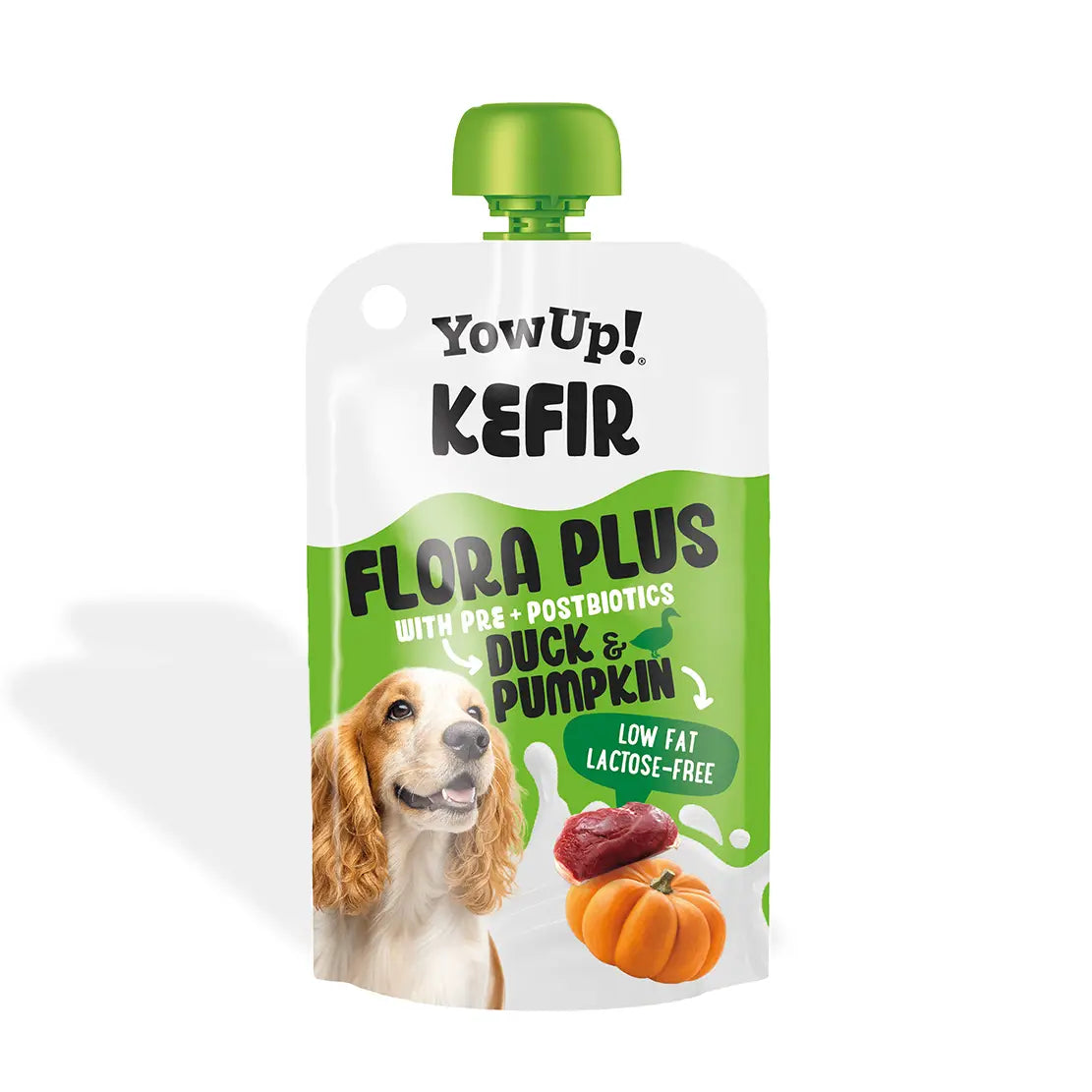 Kefir Ente & Kürbis