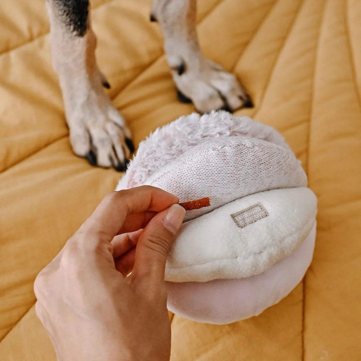 Schnüffelball Toto Rosa