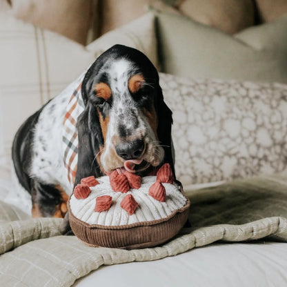 Hundespielzeug Schnüffelkuchen Berry Pie