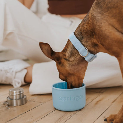 Reiseisoliertrinkflasche für Hunde Dog & Me 710 ml Sky Blue
