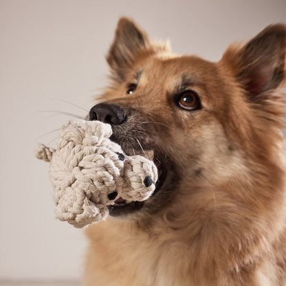 Hundespielzeug Tapsi