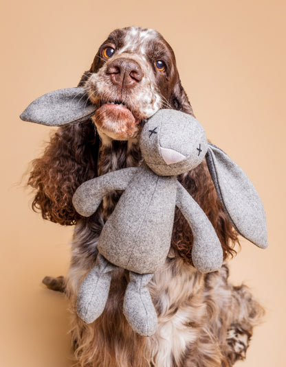 Hundespielzeug Rupert der Hase