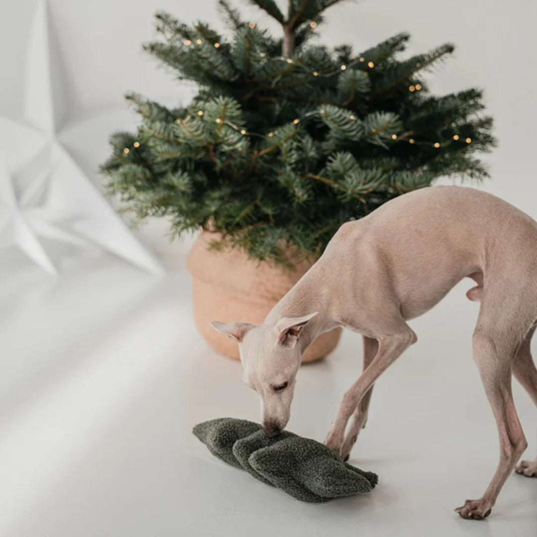Hundespielzeug Tannenbaum