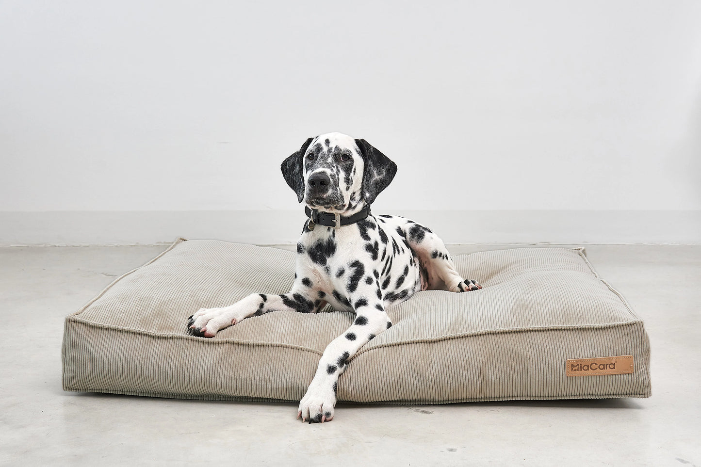 Hundekissen Cordo Greige