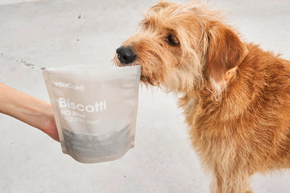 Biscotti Wild